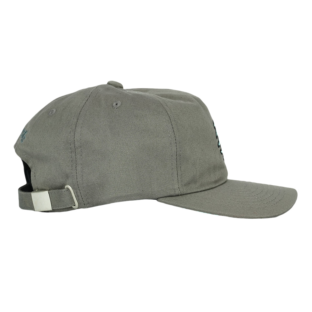 GPaw Gray Ice Dad Hat