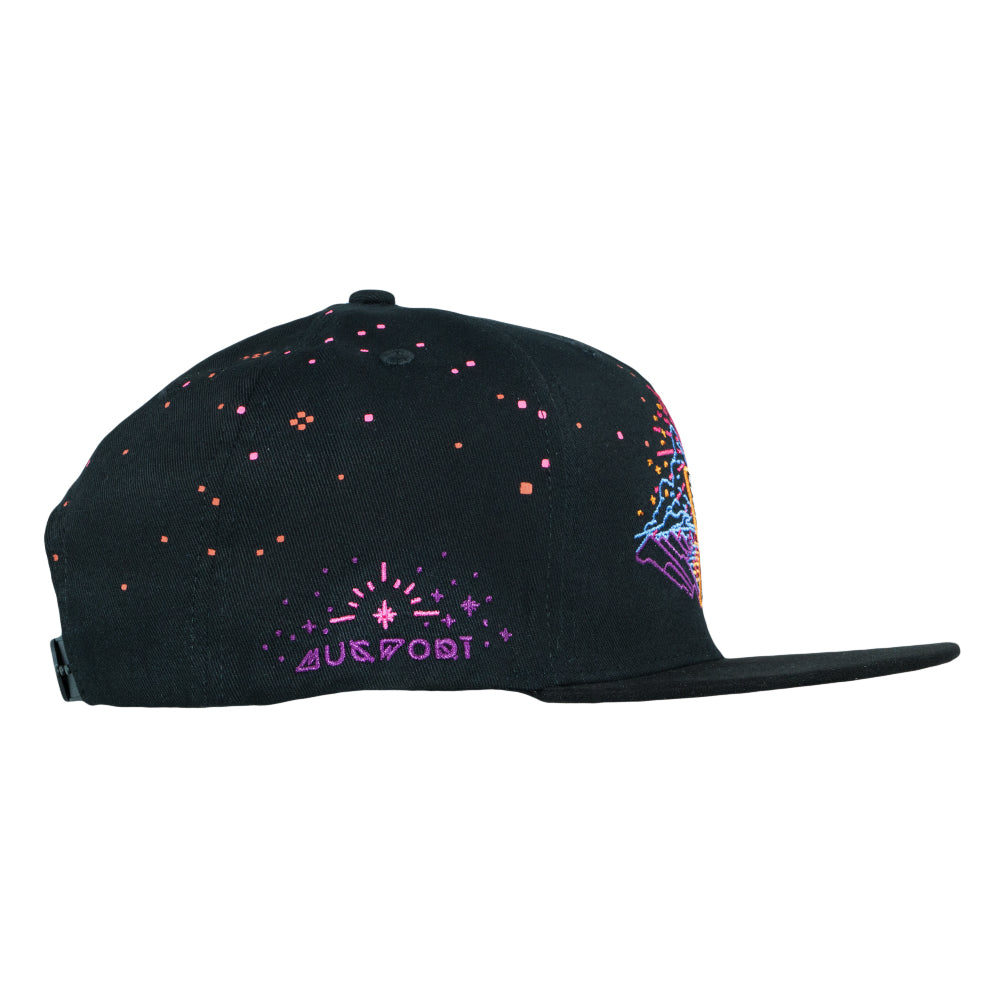 Mugwort Hummingbird Black Snapback Hat