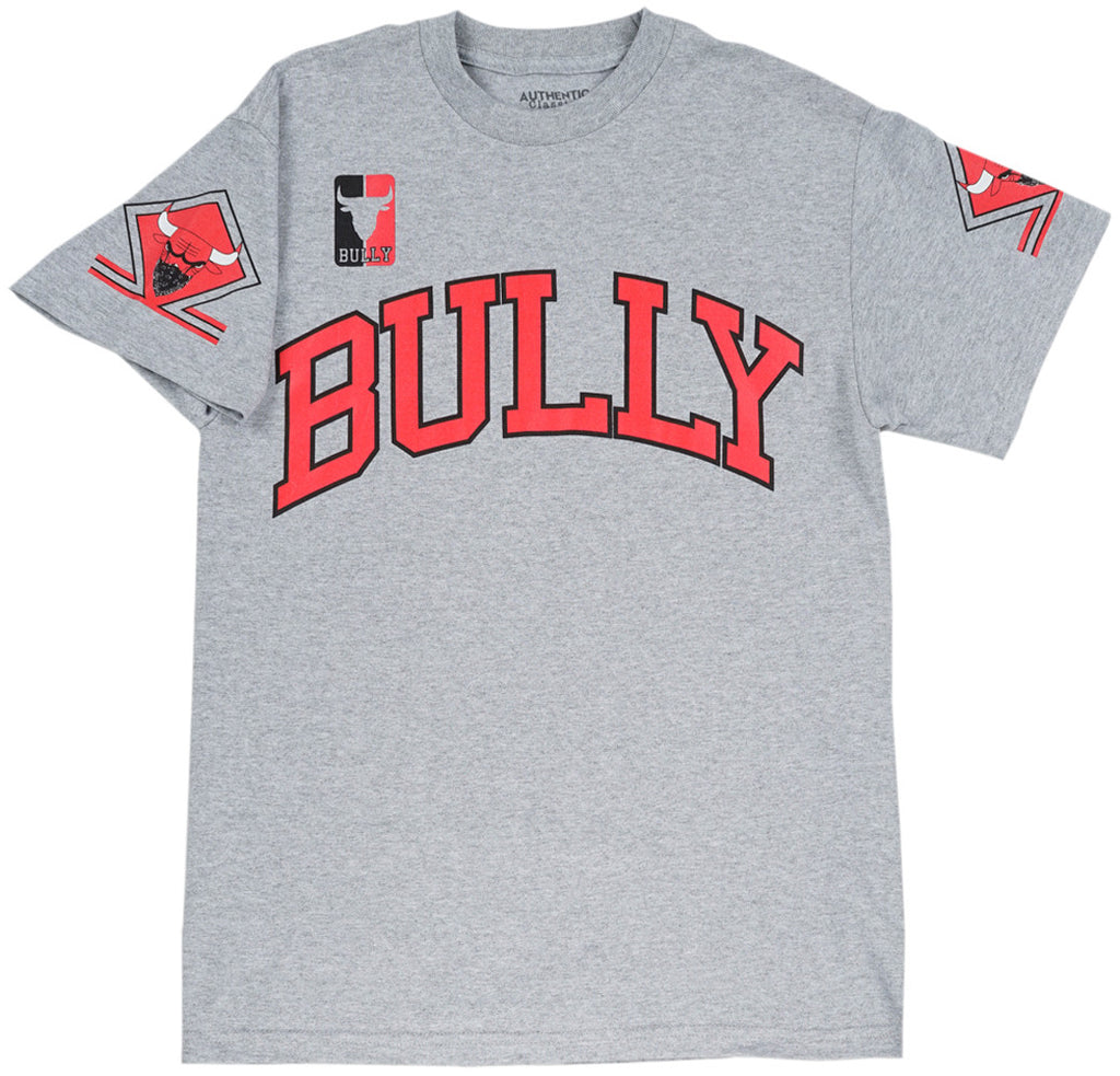 THC Bully T-Shirt Grey