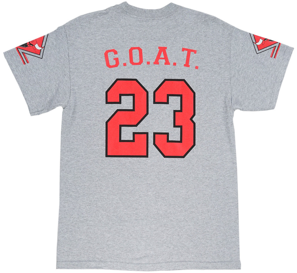 THC Bully T-Shirt Grey